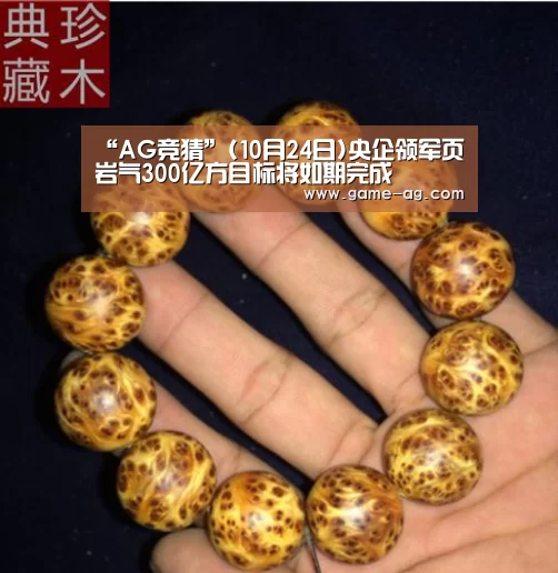 AG入口