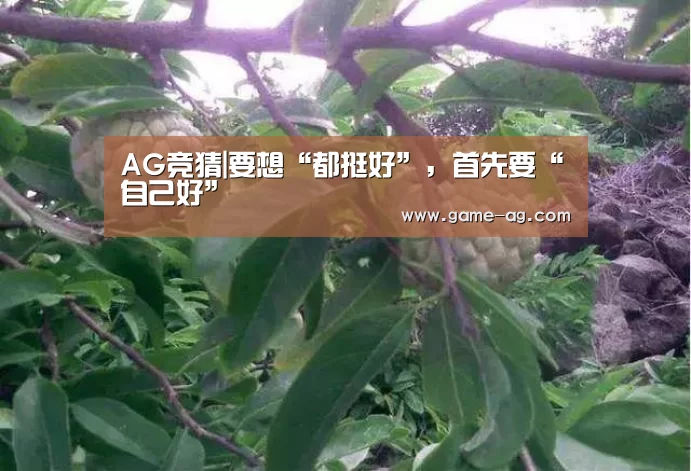 AG电竞