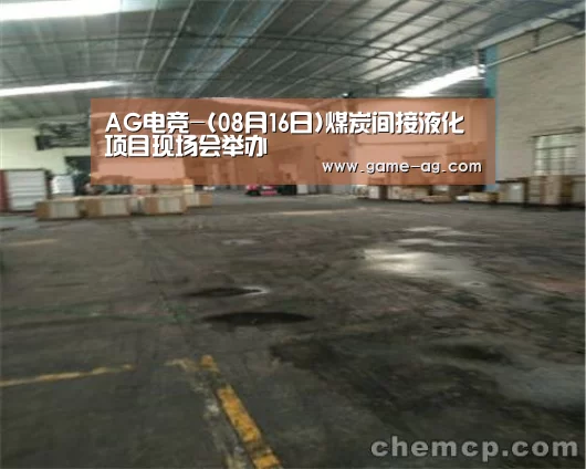 AG电竞-(08月16日)煤炭间接液化项目现场会举办(图2) AG百家乐